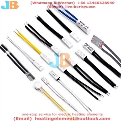 Thermal Protector Hloov
